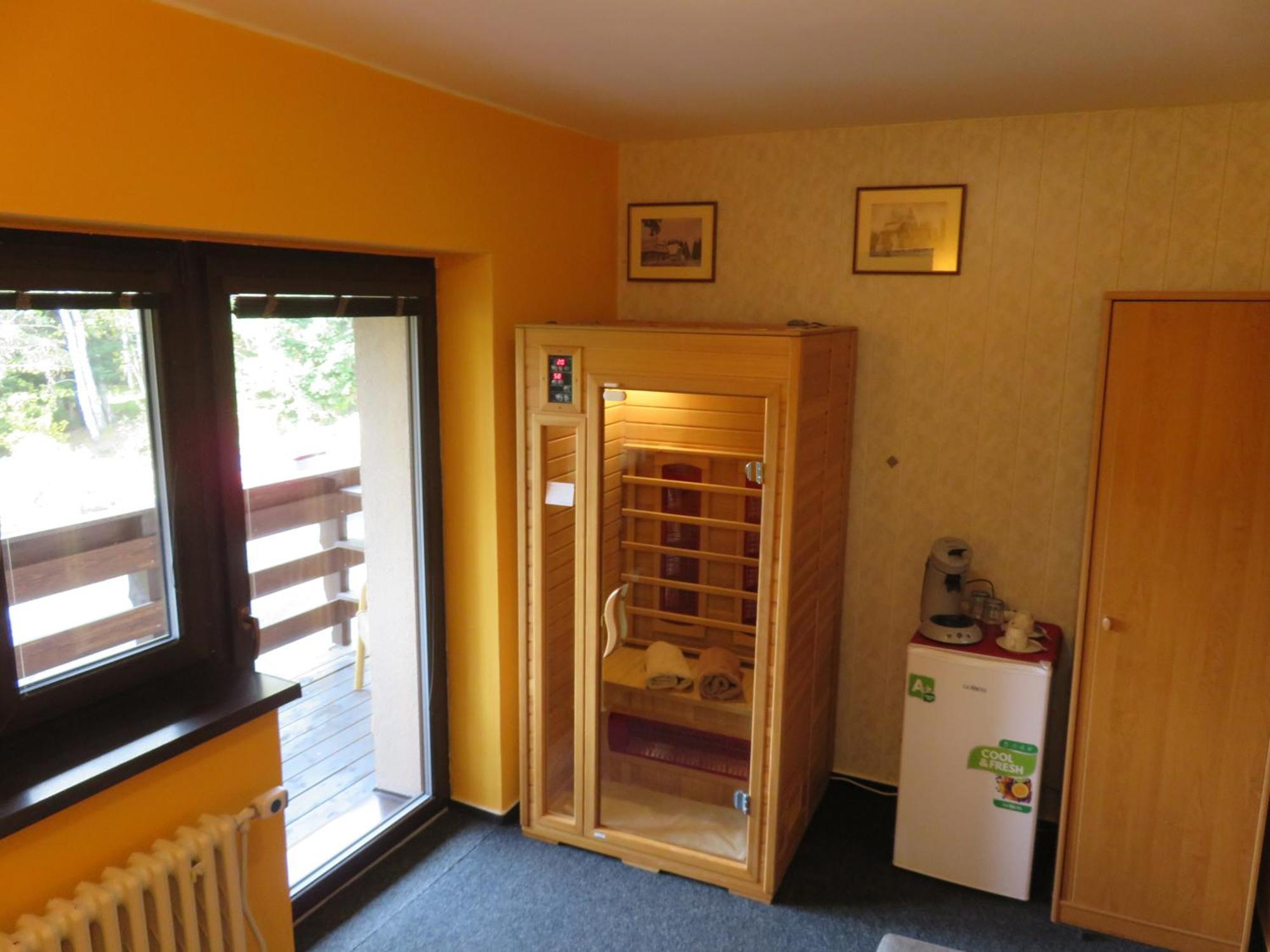 Pension Aura Spicak, Nektere Pokoje Se Saunou Zelezna Ruda Exterior photo
